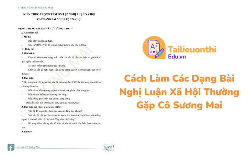 Cách Làm Các Dạng Bài Nghị Luận Xã Hội Thường Gặp Cô Sương Mai